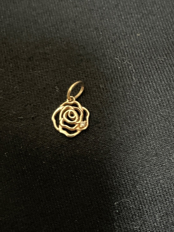 アガットネックレスチャーム（金・貴金属）の商品画像 - 査定依頼日：2026年3月5日 - 最高査定価格：25,000円