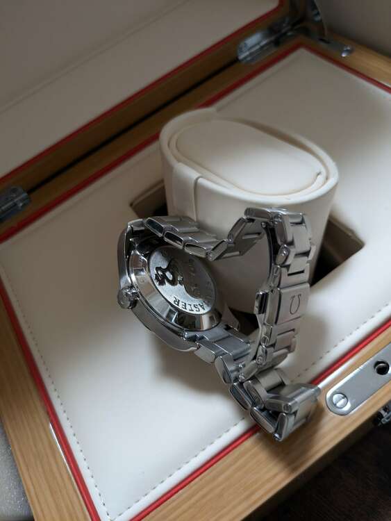 シーマスターアクアテラ（高級時計）の商品画像 - 査定依頼日：2025年5月2日 - 最高査定価格：300,000円