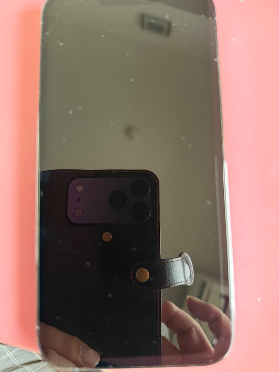 iPhone iPhone 13 Pro Max 128GB docomo（スマホ）の商品画像 - 査定依頼日：2026年6月5日 - 最高査定価格：60,000円