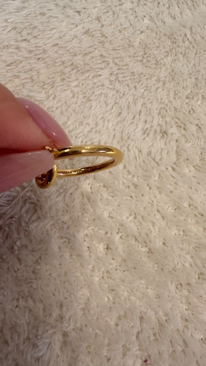 セリーヌ  （ブランドバッグ）の商品画像 - 査定依頼日：2025年12月20日 - 最高査定価格：40,000円