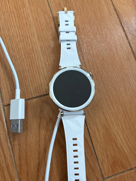 その他 その他 huawei Watch GT5（高級時計）の商品画像 - 査定依頼日：2025年9月9日 - 最高査定価格：24,000円