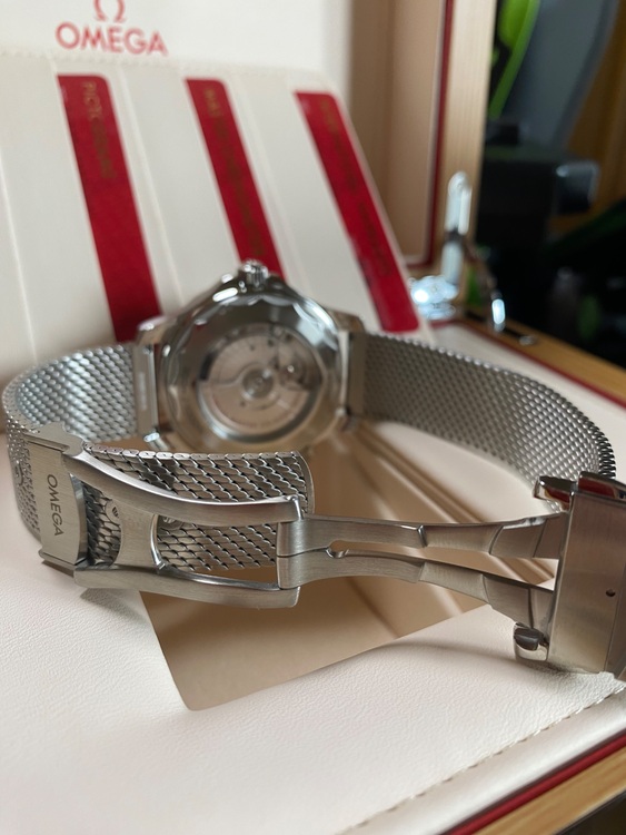 オメガ シーマスター 210.30.42.20.06.00（高級時計）の商品画像 - 査定依頼日：2025年8月11日 - 最高査定価格：770,000円