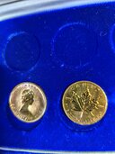 メープル金貨（金・貴金属）の商品画像 - 査定依頼日：2026年4月26日 - 最高査定価格：747,000円