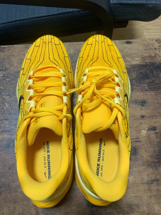 1H3257-700　エアズームペガサス 41 LV（古着・ファッション）の商品画像 - 査定依頼日：2026年3月30日 - 最高査定価格：100,000円