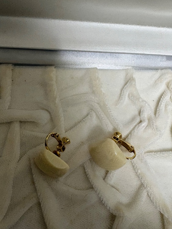 象牙ネックレス・イヤリング（宝石）の商品画像 - 査定依頼日：2025年10月24日 - 最高査定価格：6,000円