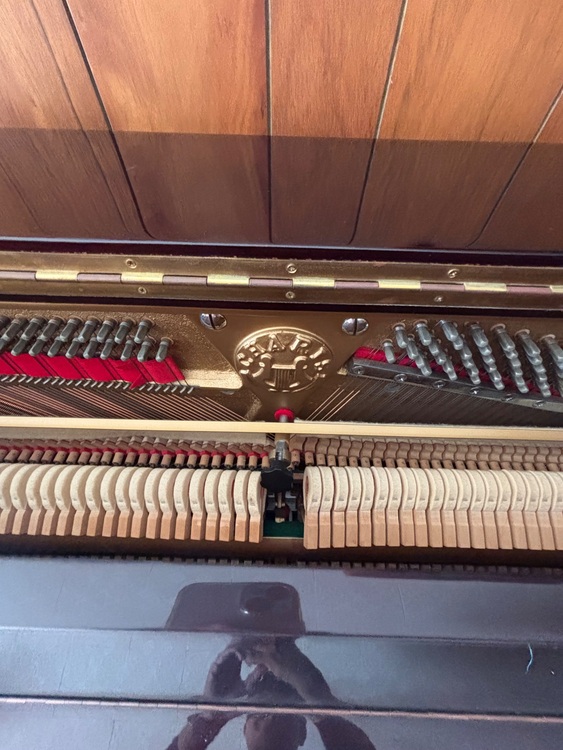 AH-23（ピアノ・楽器・PA機材）の商品画像 - 査定依頼日：2025年9月25日 - 最高査定価格：3,000円