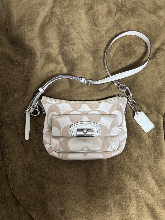 シグネチャー（ブランドバッグ）の商品画像 - 査定依頼日：2025年4月12日 - 最高査定価格：1,500円