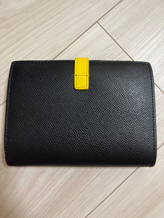 セリーヌ  （ブランドバッグ）の商品画像 - 査定依頼日：2025年9月18日 - 最高査定価格：15,000円