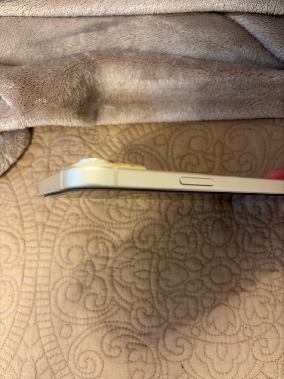 iPhone iPhone 15 256GB SIMフリー（スマホ）の商品画像 - 査定依頼日：2026年9月26日 - 最高査定価格：75,000円
