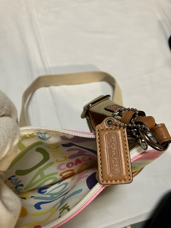 パステルカラー（ブランドバッグ）の商品画像 - 査定依頼日：2026年3月3日 - 最高査定価格：2,000円