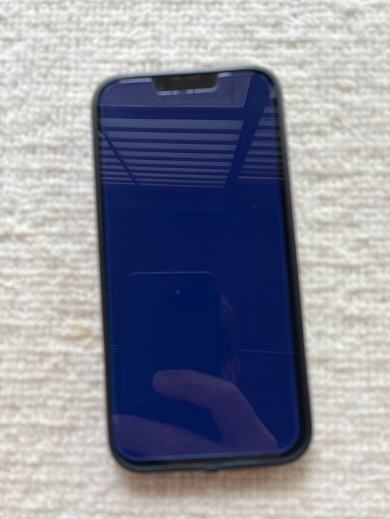 iPhone iPhone 13 128GB Softbank（スマホ）の商品画像 - 査定依頼日：2026年9月13日 - 最高査定価格：33,000円