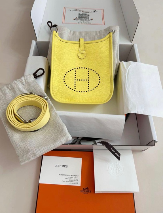 ミニエブリン（ブランドバッグ）の商品画像 - 査定依頼日：2025年8月19日 - 最高査定価格：350,000円