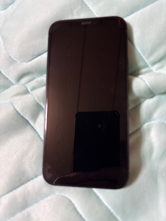 iPhone iPhone 12 64GB SIMフリー（スマホ）の商品画像 - 査定依頼日：2026年10月15日 - 最高査定価格：20,500円