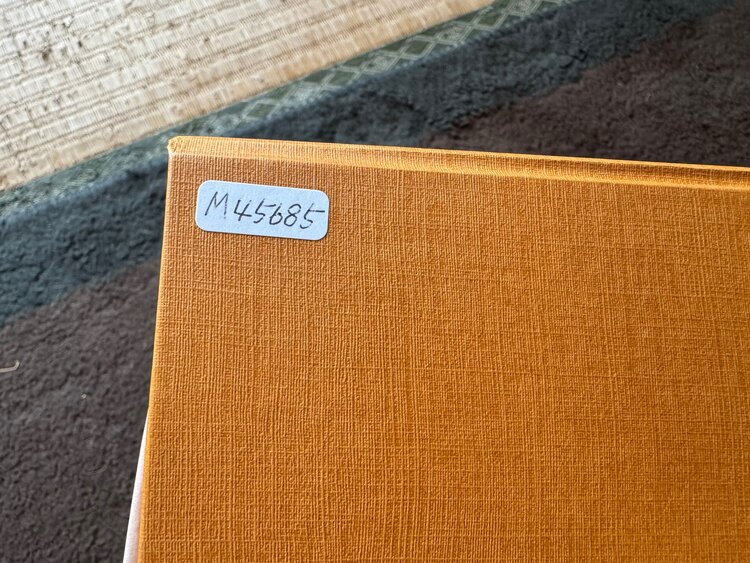 ルイヴィトン ネヴァーフル （ブランドバッグ）の商品画像 - 査定依頼日：2025年4月18日 - 最高査定価格：255,000円