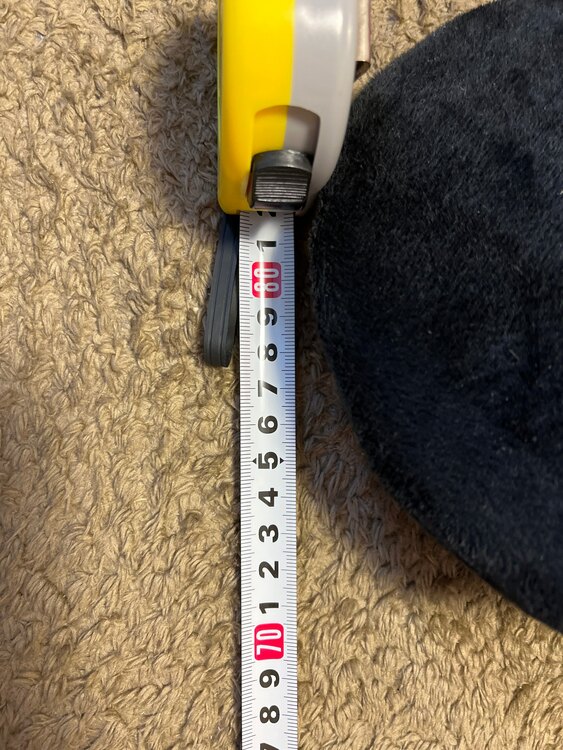 ミニーぬいぐるみ（その他のおもちゃ）の商品画像 - 査定依頼日：2025年5月1日 - 最高査定価格：30円