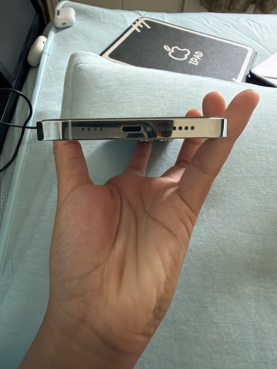 iPhone iPhone 13 Pro Max 256GB Softbank（スマホ）の商品画像 - 査定依頼日：2026年9月13日 - 最高査定価格：64,000円