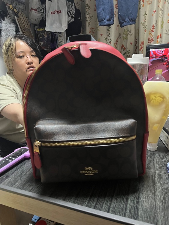 n2h1922-f32200（ブランドバッグ）の商品画像 - 査定依頼日：2026年4月8日 - 最高査定価格：3,000円