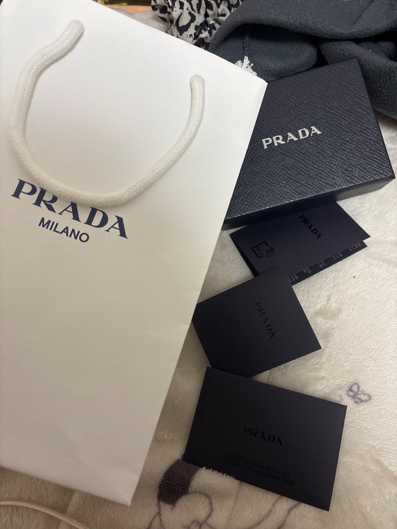 プラダ  （ブランドバッグ）の商品画像 - 査定依頼日：2026年3月5日 - 最高査定価格：25,000円