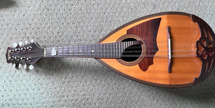 SUZUKIのマンドリン（ピアノ・楽器・PA機材）の商品画像 - 査定依頼日：2026年4月15日 - 最高査定価格：3,000円