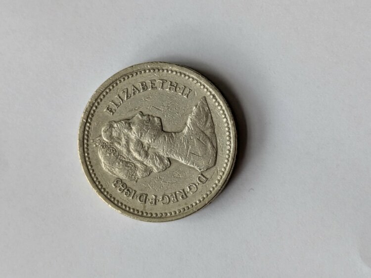 エリザベス硬貨1ポンド1983年（金・貴金属）の商品画像 - 査定依頼日：2026年4月21日 - 最高査定価格：100円