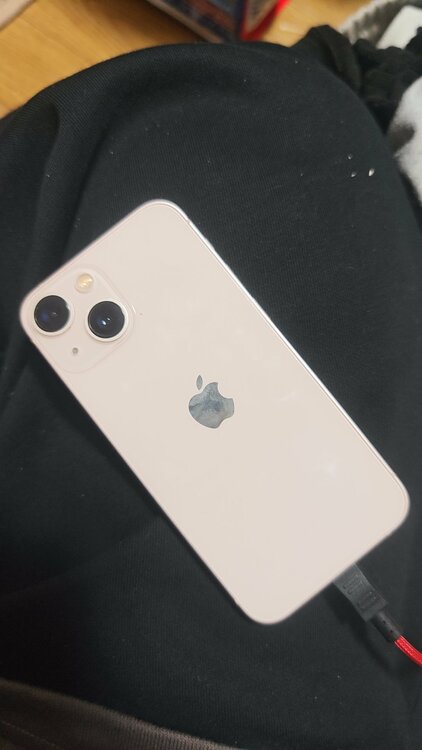 iPhone 13 mini 256GB SIMフリー（スマホ）の商品画像 - 査定依頼日：2026年2月28日 - 最高査定価格：30,000円