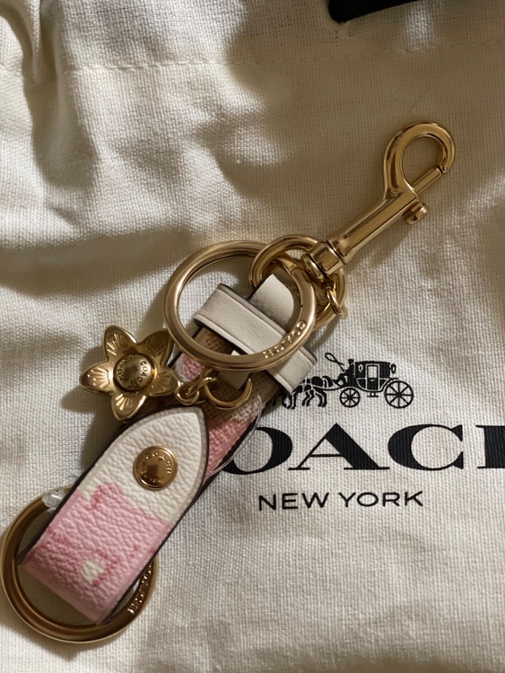 COACH（コーチ）の「フローラル プリント トリガー スナップ バッグ チャー（古着・ファッション）の商品画像 - 査定依頼日：2026年10月5日 - 最高査定価格：1,000円