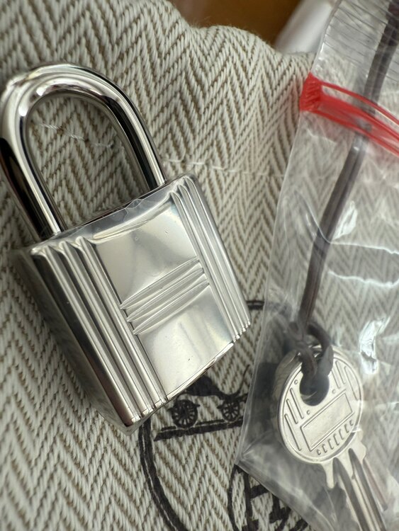 ピコタンロック　22（ブランドバッグ）の商品画像 - 査定依頼日：2025年3月29日 - 最高査定価格：550,000円