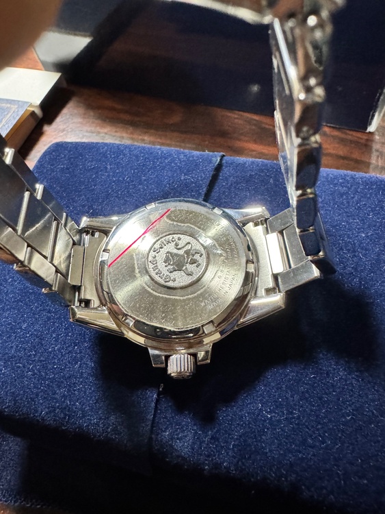 セイコー スプリントドライブ SBGA025(9R65-0AG1)（高級時計）の商品画像 - 査定依頼日：2026年4月27日 - 最高査定価格：100,000円