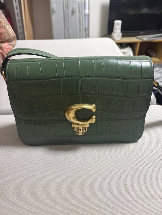 Studio Shoulder Bag in Crocodile Embosse（ブランドバッグ）の商品画像 - 査定依頼日：2026年6月10日 - 最高査定価格：8,000円