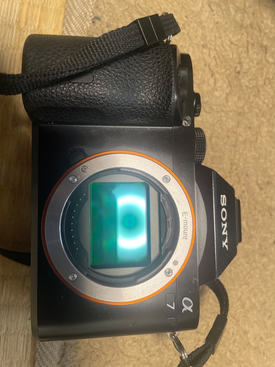 α7（カメラ）の商品画像 - 査定依頼日：2026年4月5日 - 最高査定価格：80,000円