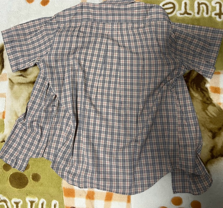 Burberrys チェック柄 Lサイズ半袖シャツ（古着・ファッション）の商品画像 - 査定依頼日：2025年11月17日 - 最高査定価格：500円