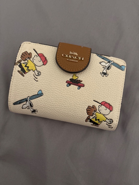 その他 コーチ （ブランドバッグ）の商品画像 - 査定依頼日：2025年6月7日 - 最高査定価格：3,000円