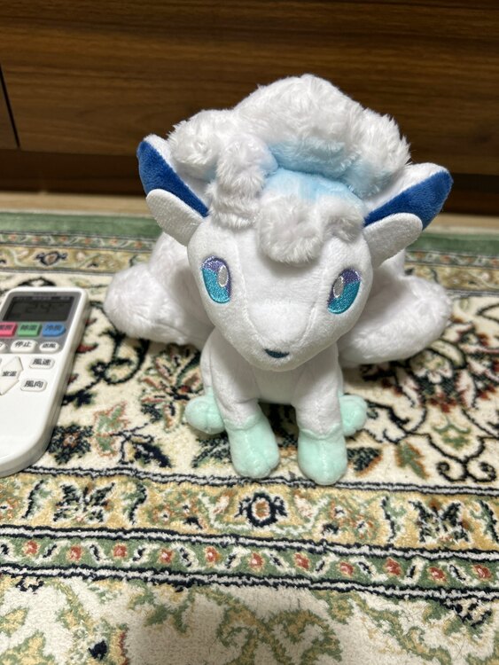 ポケモンぬいぐるみ(7個)（その他のおもちゃ）の商品画像 - 査定依頼日：2025年2月14日 - 最高査定価格：3,000円
