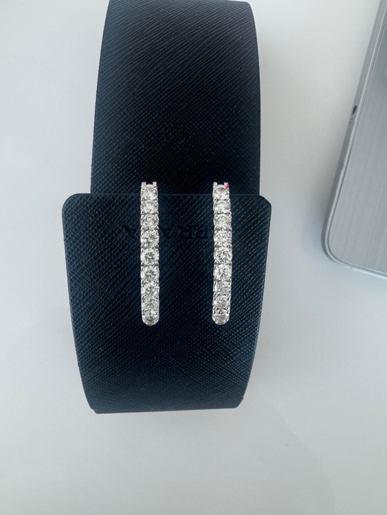 イヤリング（宝石）の商品画像 - 査定依頼日：2025年7月26日 - 最高査定価格：100,000円