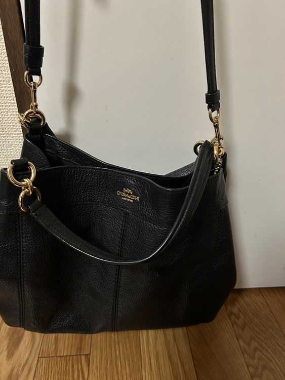 その他 コーチ （ブランドバッグ）の商品画像 - 査定依頼日：2025年11月18日 - 最高査定価格：3,000円