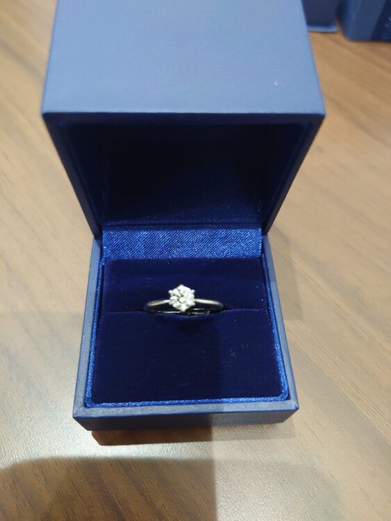DIAMOND SHIRAISHIのSmile Propose Ring（宝石）の商品画像 - 査定依頼日：2026年7月17日 - 最高査定価格：10,000円