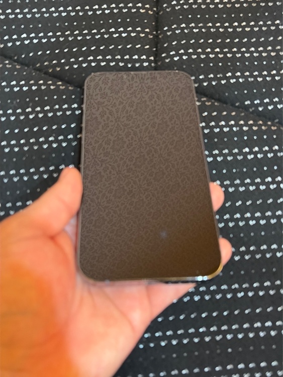 iPhone 13 Pro Max 256GB au（スマホ）の商品画像 - 査定依頼日：2026年3月31日 - 最高査定価格：51,000円