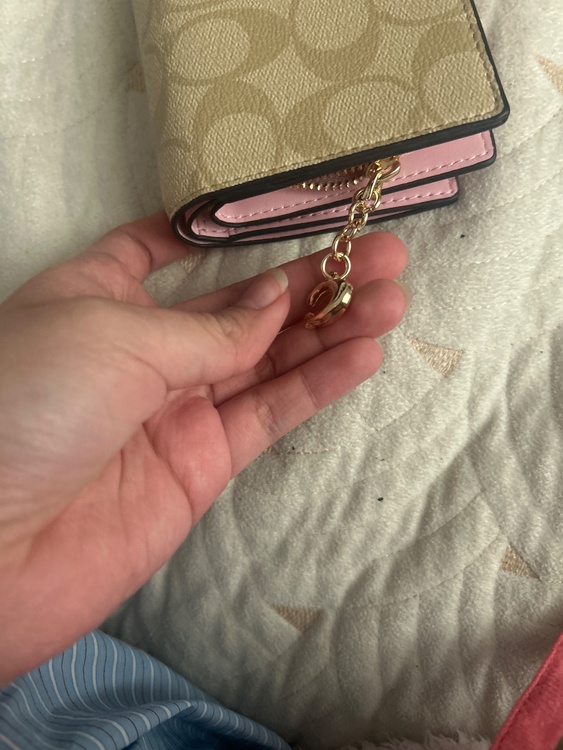 その他 コーチ （ブランドバッグ）の商品画像 - 査定依頼日：2026年3月29日 - 最高査定価格：1,500円