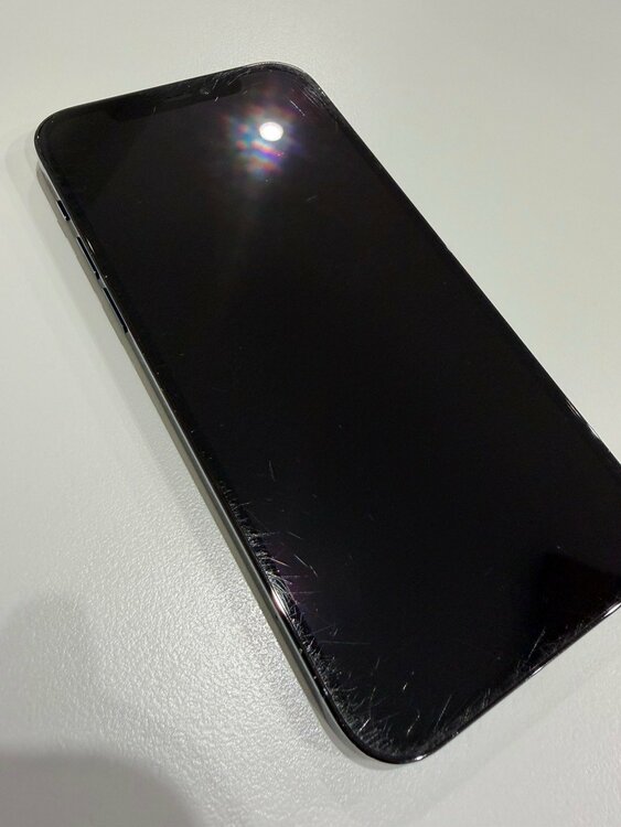 iPhone iPhone 12 Pro 256GB SIMフリー（スマホ）の商品画像 - 査定依頼日：2026年9月16日 - 最高査定価格：29,000円
