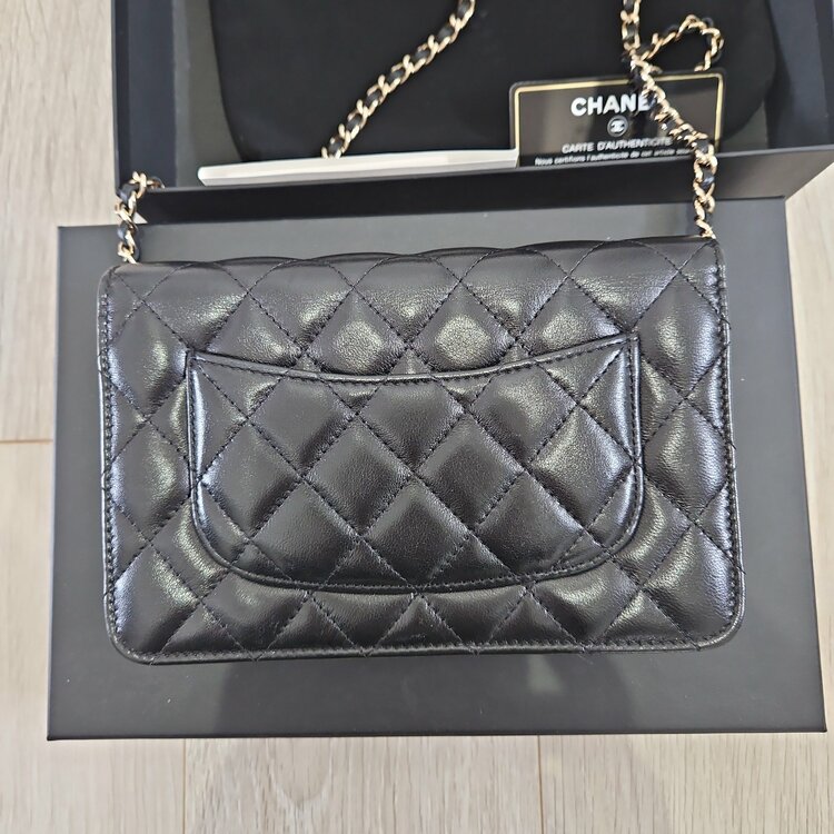 シャネル シャネル(その他) （ブランドバッグ）の商品画像 - 査定依頼日：2026年3月2日 - 最高査定価格：250,000円