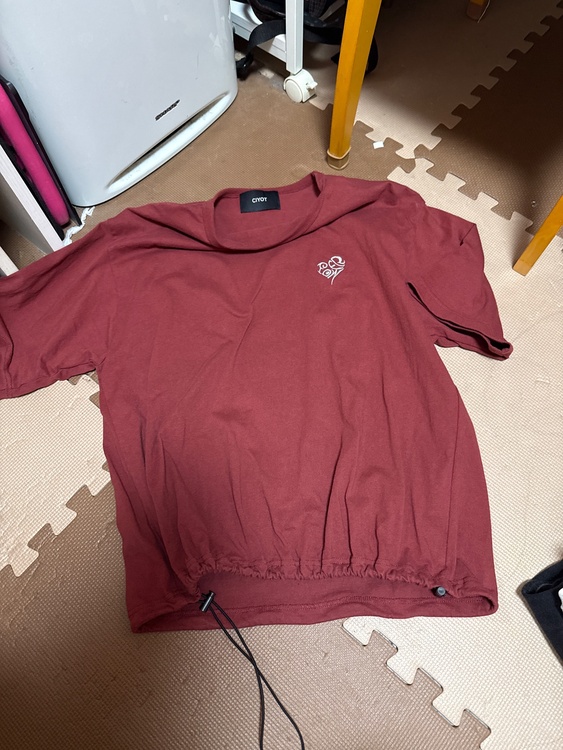 Tシャツ（古着・ファッション）の商品画像 - 査定依頼日：2026年7月31日