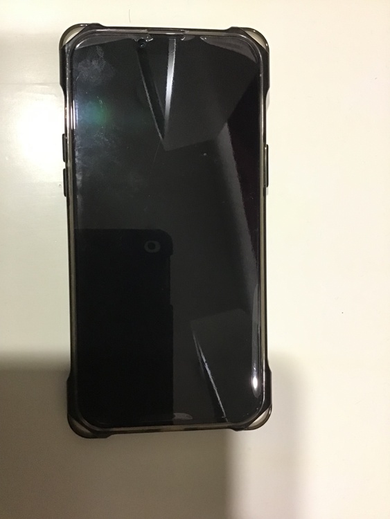 iPhone 13 Pro Max 256GB SIMフリー（スマホ）の商品画像 - 査定依頼日：2026年3月20日 - 最高査定価格：62,000円