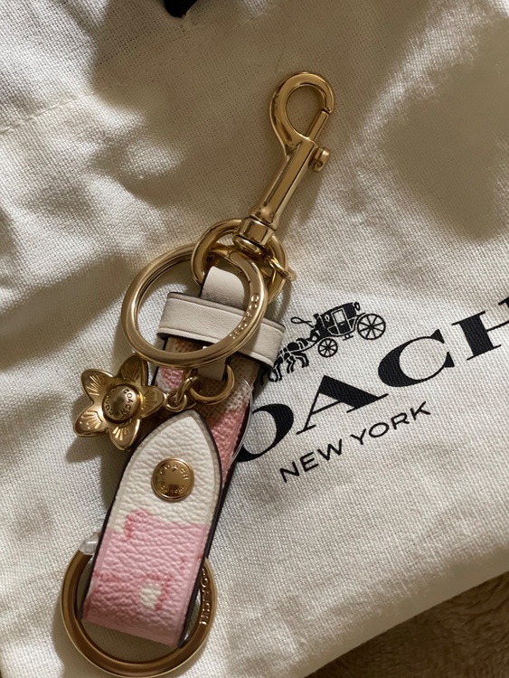 COACH（コーチ）の「フローラル プリント トリガー スナップ バッグ チャー（古着・ファッション）の商品画像 - 査定依頼日：2026年10月5日 - 最高査定価格：1,000円