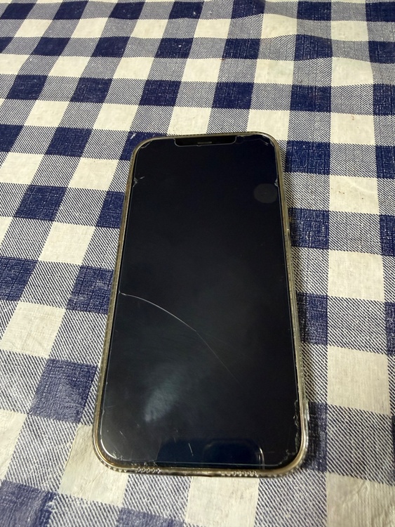 iPhone 12 Pro Max 256GB SIMフリー（スマホ）の商品画像 - 査定依頼日：2026年3月11日 - 最高査定価格：30,000円