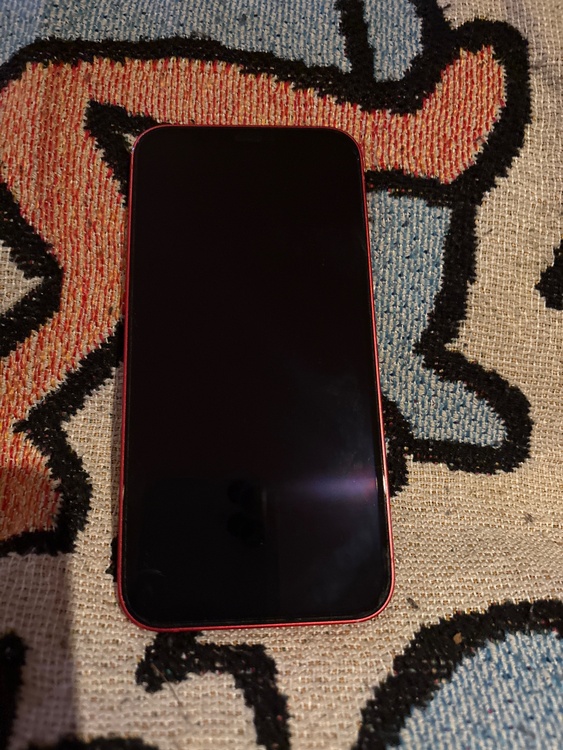 iPhone iPhone 12 64GB Softbank（スマホ）の商品画像 - 査定依頼日：2026年9月16日 - 最高査定価格：23,000円