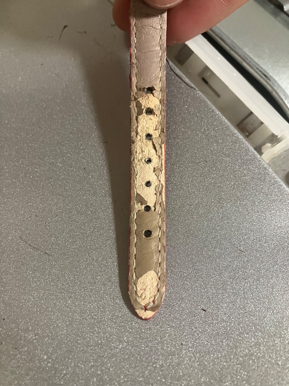 GUCCI 6000L（高級時計）の商品画像 - 査定依頼日：2026年4月7日 - 最高査定価格：2,100円