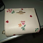 その他 コーチ （ブランドバッグ）の商品画像 - 査定依頼日：2026年1月7日 - 最高査定価格：2,000円