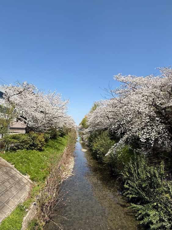 ジーンズ上下とワールドカップのシューズ（古着・ファッション）の商品画像 - 査定依頼日：2026年4月4日 - 最高査定価格：8,000円