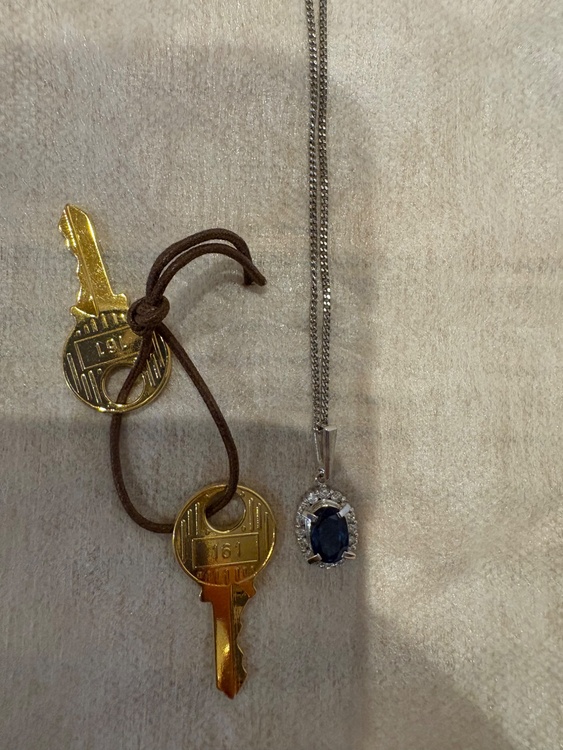 ネックレス（金・貴金属）の商品画像 - 査定依頼日：2026年8月31日 - 最高査定価格：100,000円