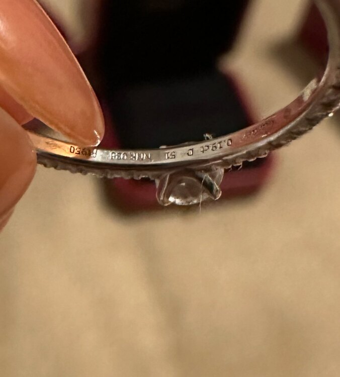 カルティエ その他 （高級時計）の商品画像 - 査定依頼日：2025年4月24日 - 最高査定価格：100,000円